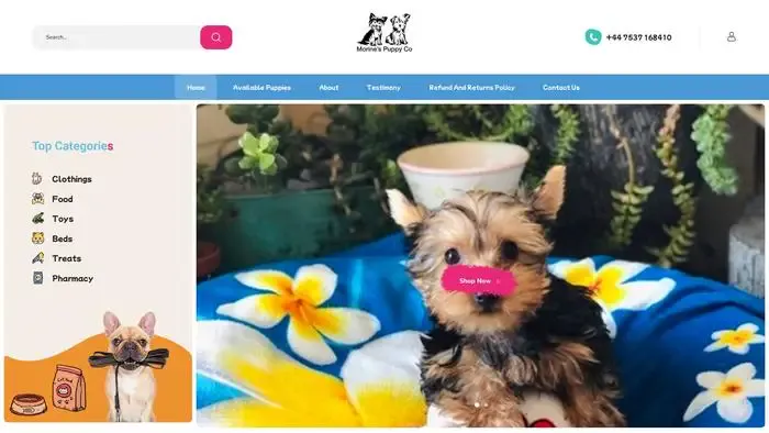 Screenshot of