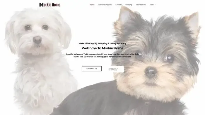 Screenshot of