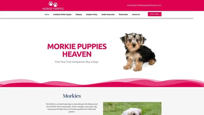 Screenshot of