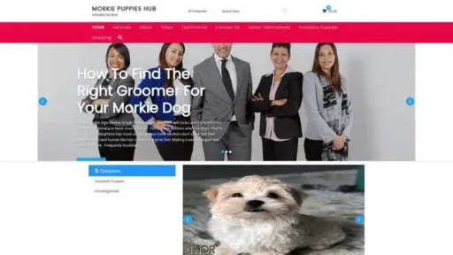 Screenshot of