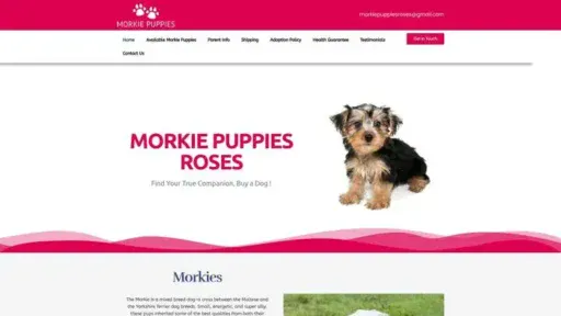 Screenshot of
