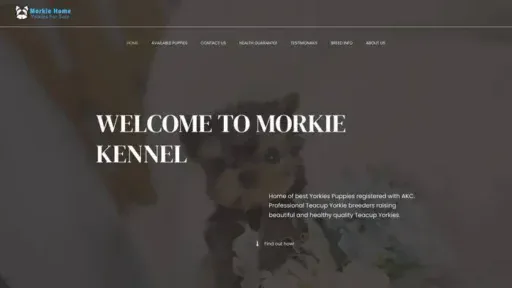 Screenshot of