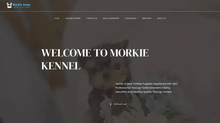 Screenshot of