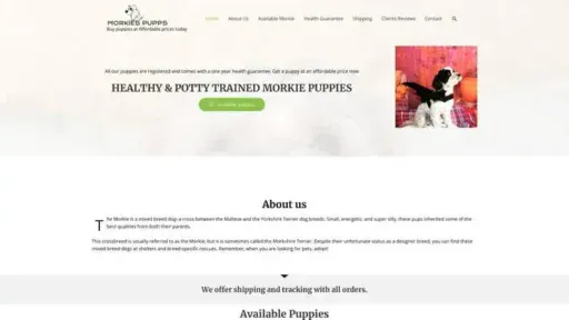 Screenshot of