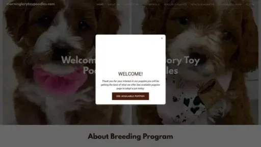 Screenshot of