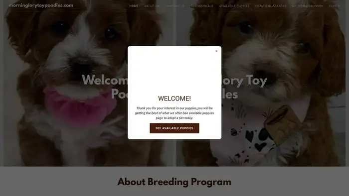 Screenshot of