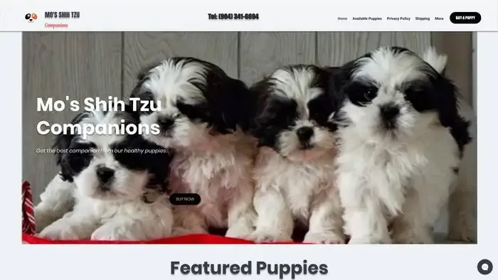 Screenshot of