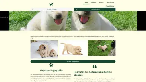 Screenshot of