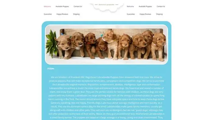 Screenshot of