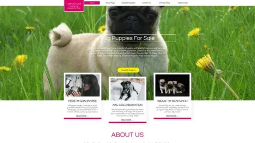 Screenshot of