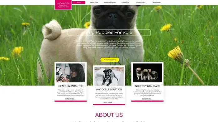 Screenshot of