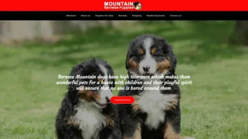 Screenshot of||