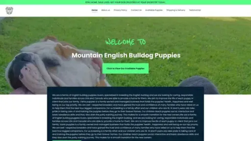 Screenshot of