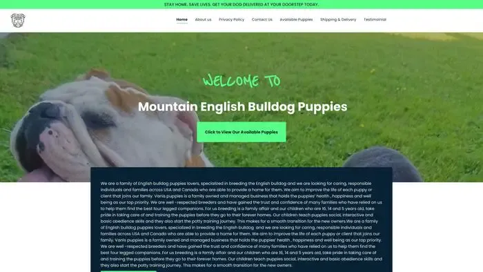 Screenshot of