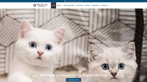 Screenshot of