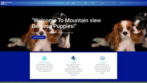 Screenshot of