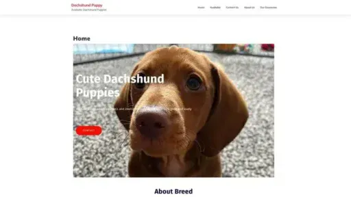 Screenshot of
