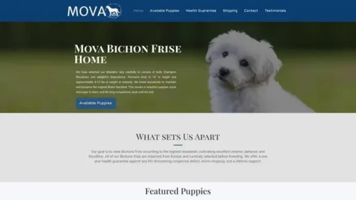 Screenshot of