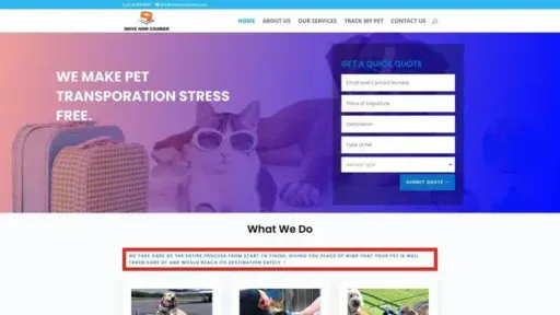 Screenshot of