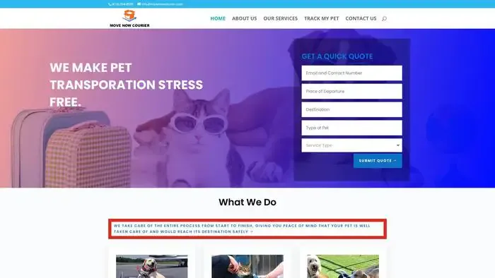 Screenshot of