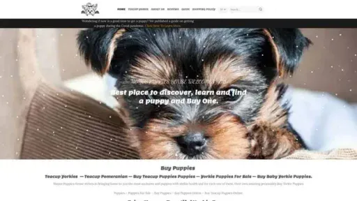 Screenshot of