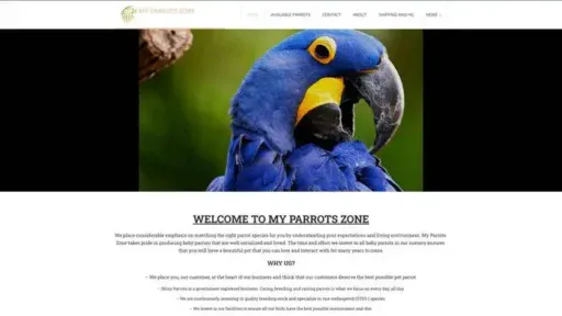 Screenshot of
