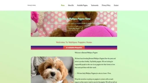 Screenshot of