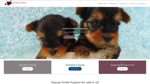 Screenshot of