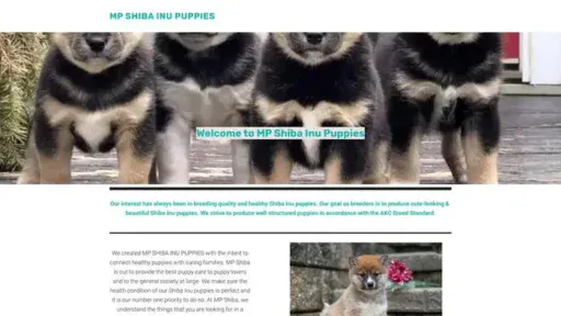 Screenshot of