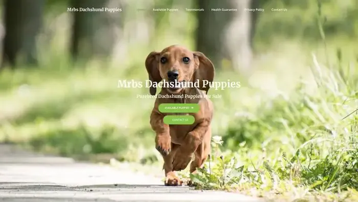 Screenshot of