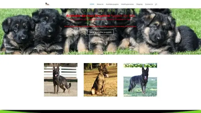 Screenshot of