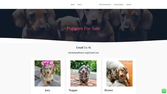 Screenshot of