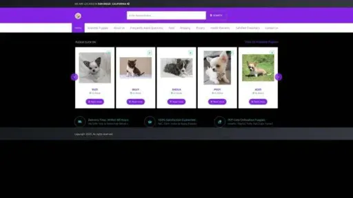 Screenshot of