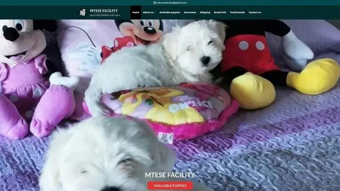 Screenshot of