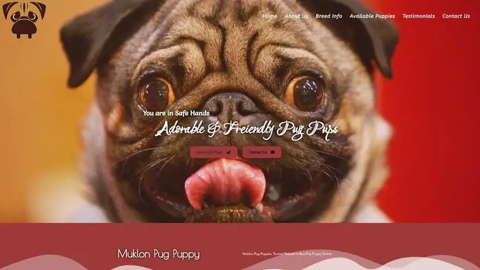 Screenshot of