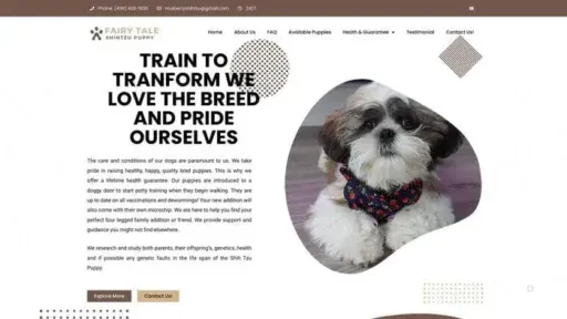 Screenshot of