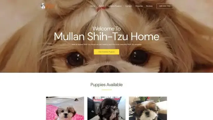 Screenshot of