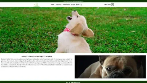 Screenshot of