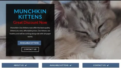 Screenshot of