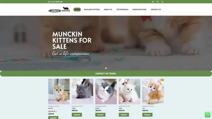 Screenshot of