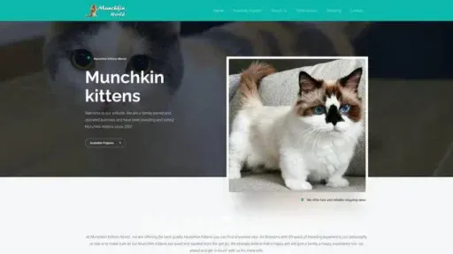 Screenshot of