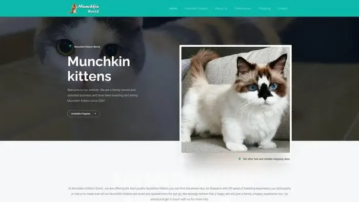 Screenshot of