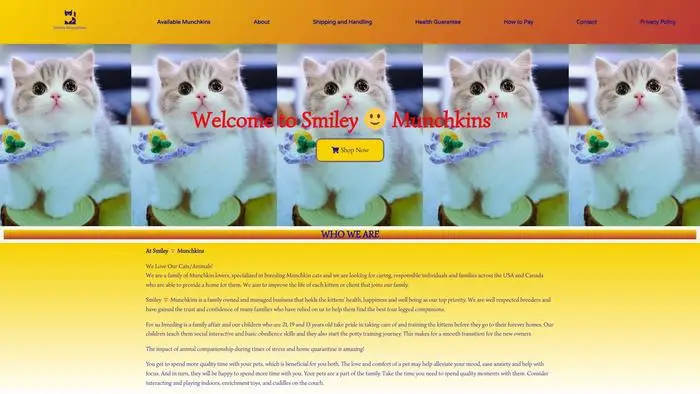 Screenshot of