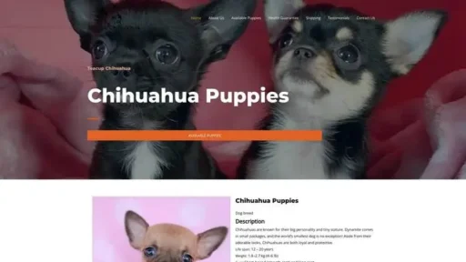 Screenshot of