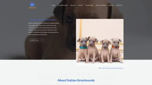 Screenshot of