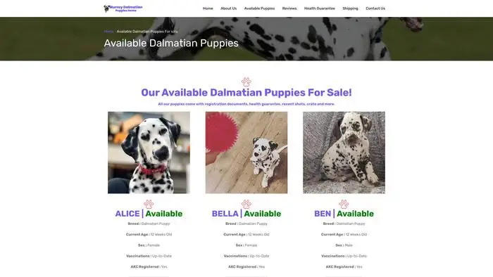 Screenshot of