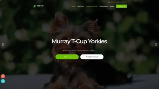 Screenshot of