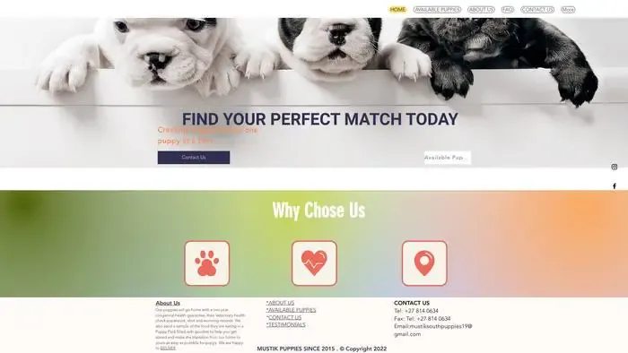 Screenshot of