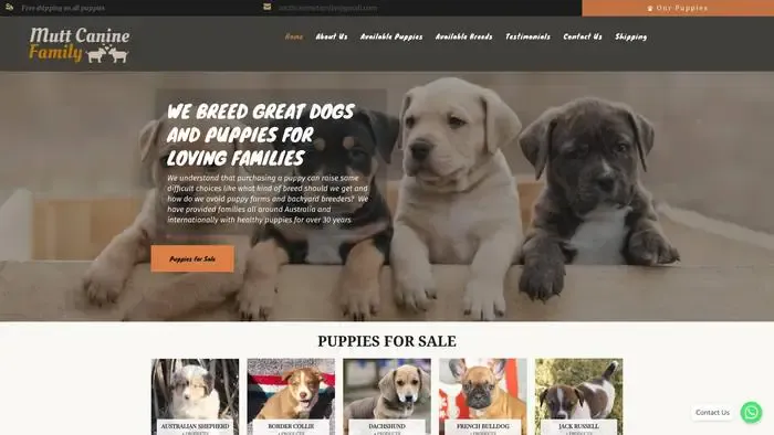 Screenshot of