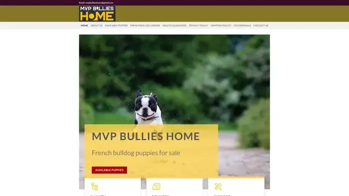 Screenshot of